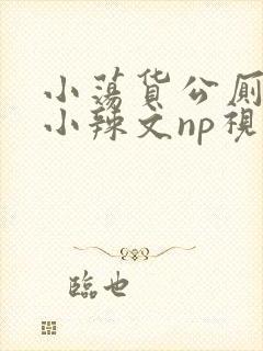 小荡货公厕h文小辣文np视频