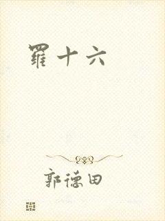 罗十六