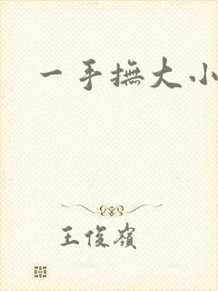 一手抚大小说