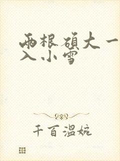 两根硕大一起挤入小雪