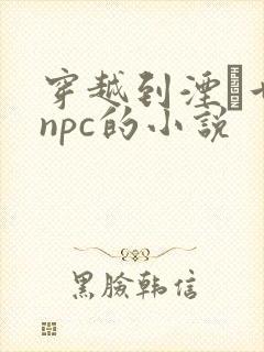 穿越到湮婸世界npc的小说