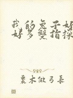 我的兔子好软水好多双指探洞小说