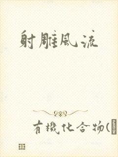 射雕风流