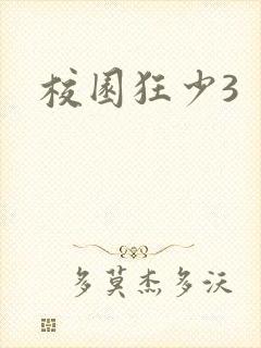 校园狂少3