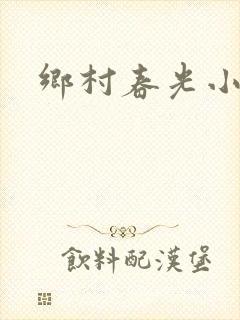 乡村春光小说