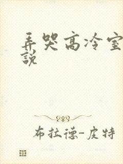 弄哭高冷室友小说