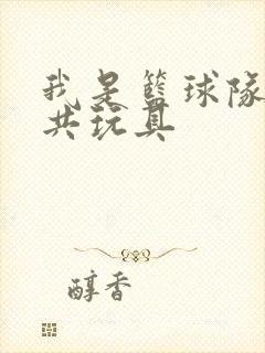 我是篮球队的公共玩具