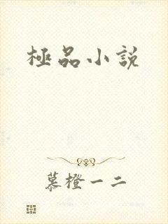 极品小说
