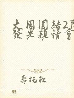 大团圆结2闪闪发光亲情会