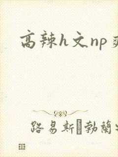 高辣h文np爽