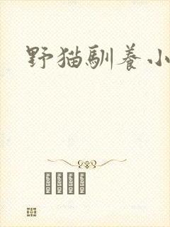 野猫驯养小说