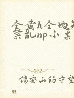 全黄h全肉短篇禁乱np小柔