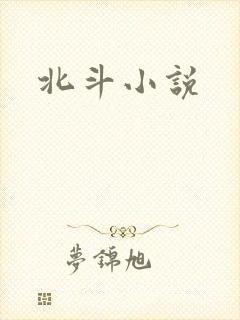 北斗小说