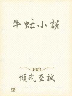 牛虻小说