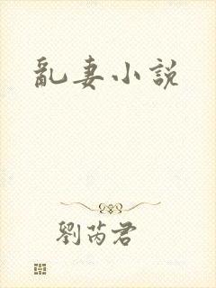 乱妻小说