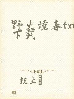 野火烧春txt下载