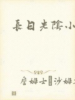 长日光阴小说