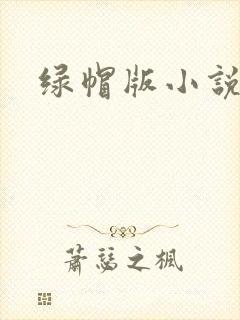 绿帽版小说