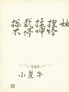 总裁揉捏她两乳不停呻吟