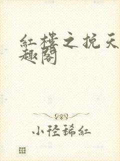 红楼之挽天倾笔趣阁