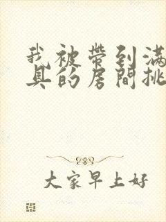 我被带到满是玩具的房间挑调作文