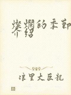 灿烂的季节剧情介绍