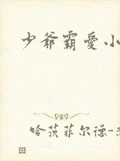 少爷霸爱小丫头