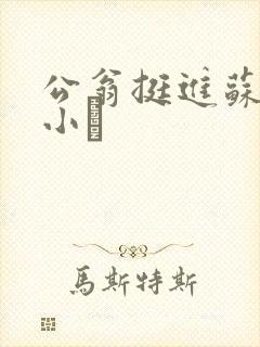 公翁挺进苏玥的小泬