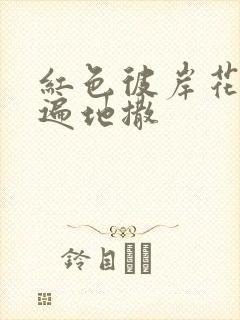 红色彼岸花花瓣遍地撒