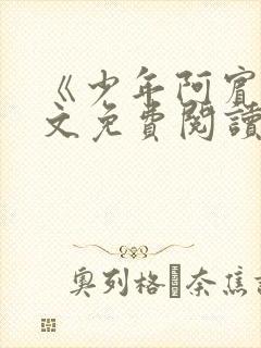 《少年阿宾》全文免费阅读