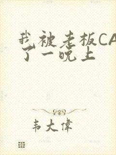 我被老板CAO了一晚上