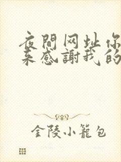 夜间网址你会回来感谢我的