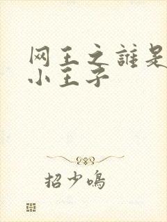 网王之谁是我的小王子