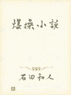爆操小说