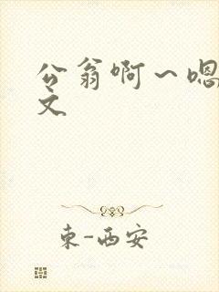 公翁啊～嗯啊h文