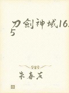 刀剑神域16.5