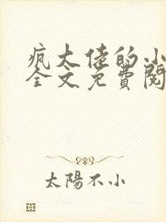 疯大佬的小玩物全文免费阅读小说