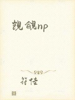 觊觎np