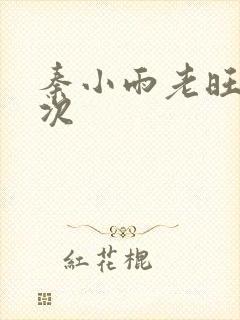 秦小雨老旺第一次