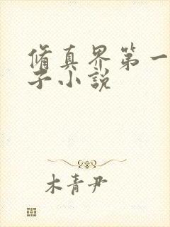 修真界第一病秧子小说