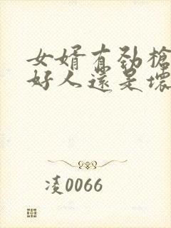 女婿有劲枪枪是好人还是坏人