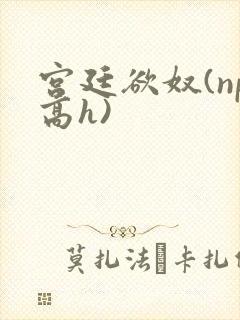 宫廷欲奴(np高h)