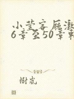 小莹客厅激情46章至50章软件介绍