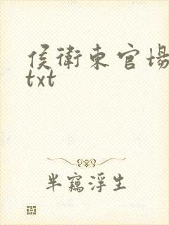 侯卫东官场笔记txt