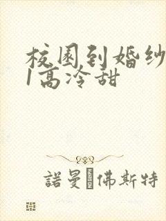 校园到婚纱1V1高冷甜