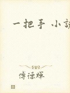 一把手 小说