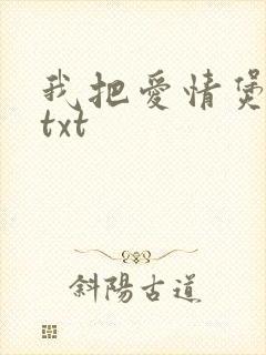 我把爱情煲成汤txt