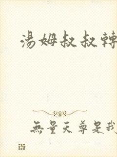 汤姆叔叔转接口