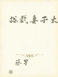 总裁妻子太诱人