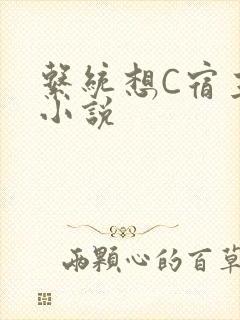 系统想C宿主的小说